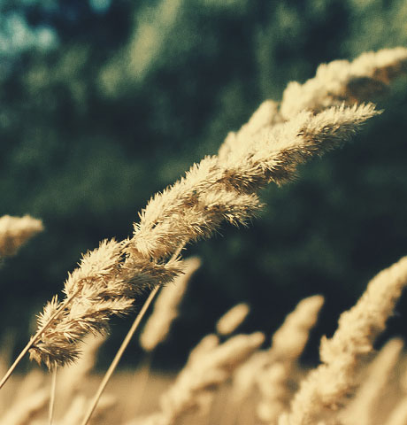 免费短信电话轰炸机